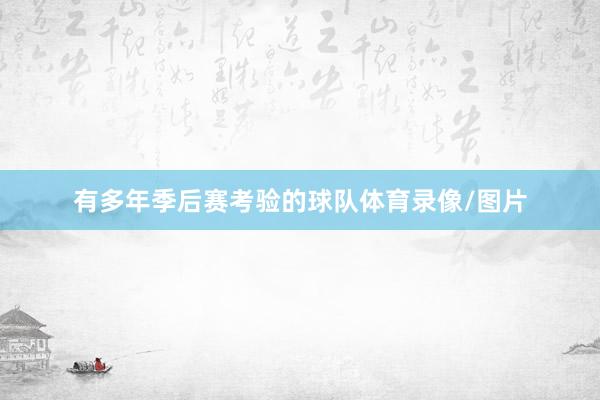 有多年季后赛考验的球队体育录像/图片