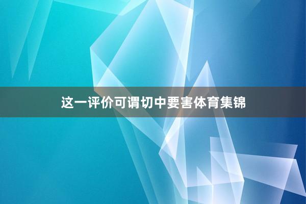 这一评价可谓切中要害体育集锦