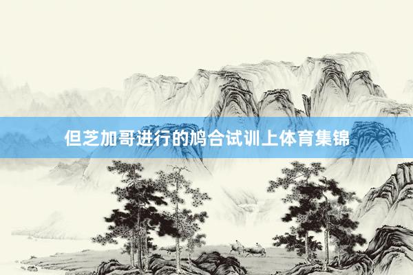 但芝加哥进行的鸠合试训上体育集锦