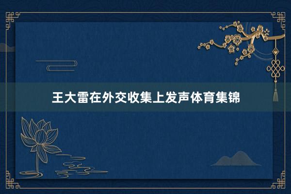 王大雷在外交收集上发声体育集锦