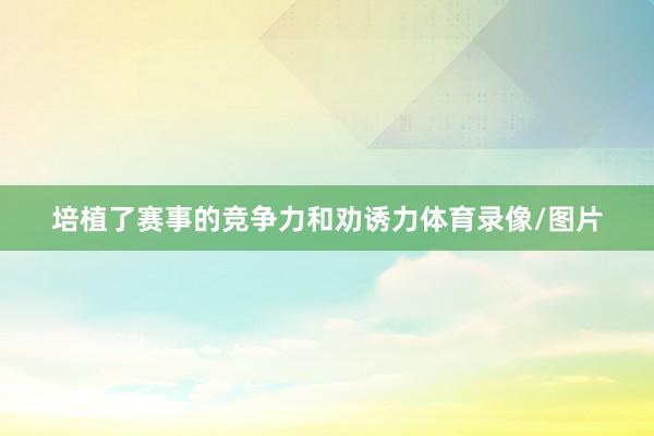 培植了赛事的竞争力和劝诱力体育录像/图片