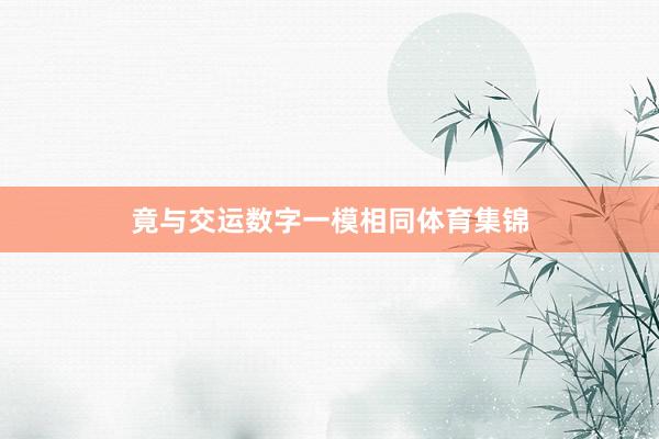 竟与交运数字一模相同体育集锦