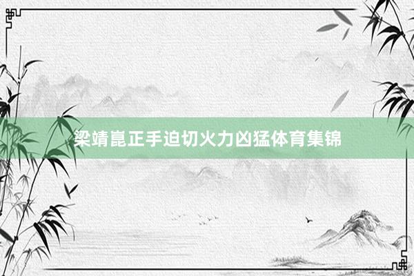 梁靖崑正手迫切火力凶猛体育集锦