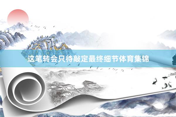 这笔转会只待敲定最终细节体育集锦