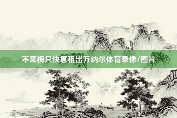 不莱梅只快意租出万纳尔体育录像/图片