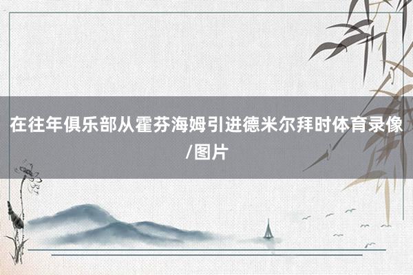 在往年俱乐部从霍芬海姆引进德米尔拜时体育录像/图片