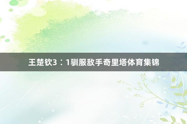 王楚钦3∶1驯服敌手奇里塔体育集锦