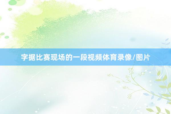 字据比赛现场的一段视频体育录像/图片