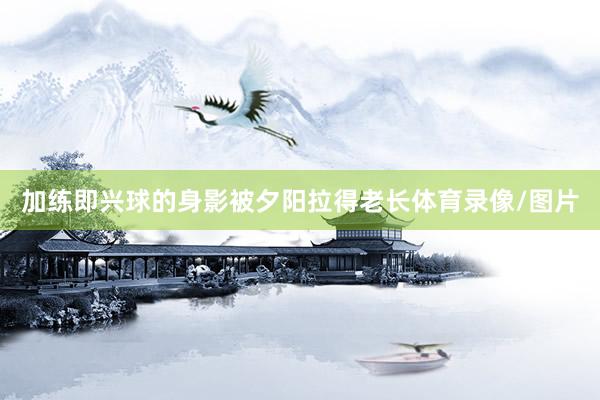 加练即兴球的身影被夕阳拉得老长体育录像/图片