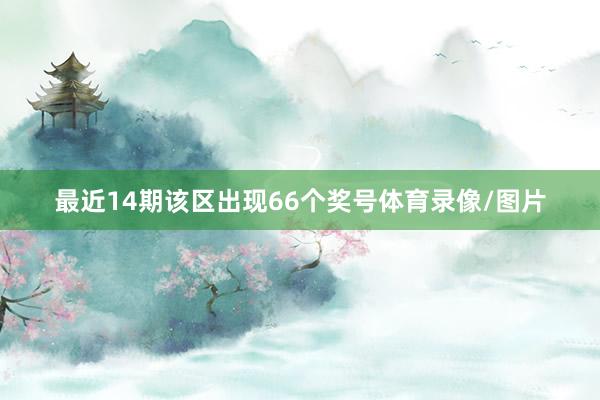 最近14期该区出现66个奖号体育录像/图片