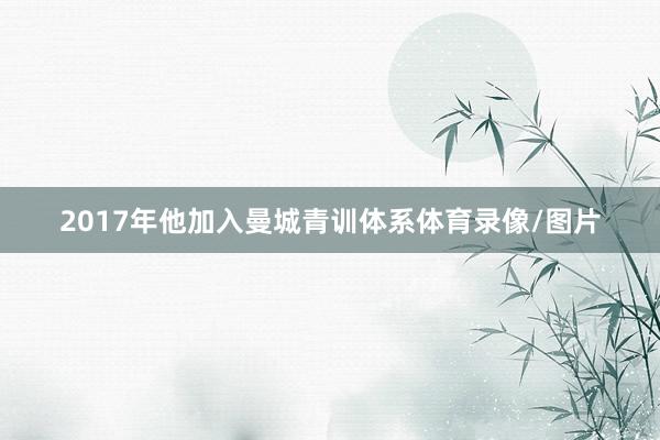 2017年他加入曼城青训体系体育录像/图片