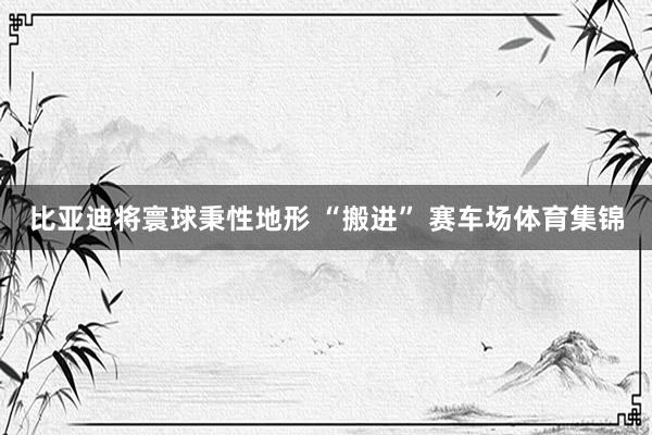 比亚迪将寰球秉性地形 “搬进” 赛车场体育集锦