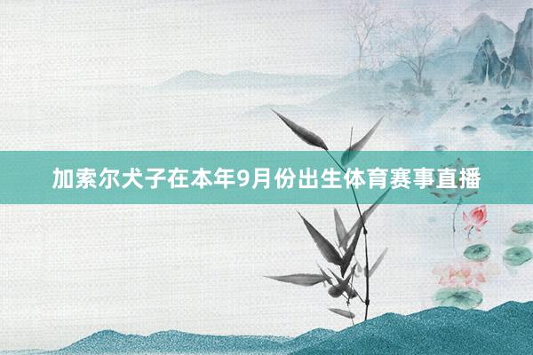 加索尔犬子在本年9月份出生体育赛事直播