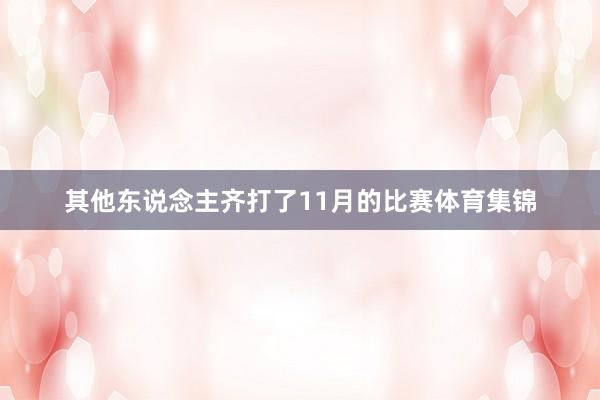 其他东说念主齐打了11月的比赛体育集锦