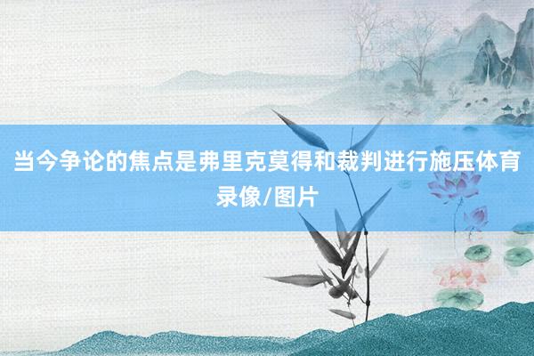 当今争论的焦点是弗里克莫得和裁判进行施压体育录像/图片