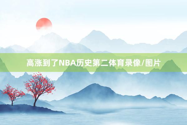 高涨到了NBA历史第二体育录像/图片