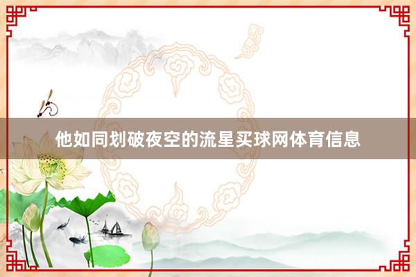 他如同划破夜空的流星买球网体育信息