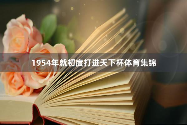 1954年就初度打进天下杯体育集锦