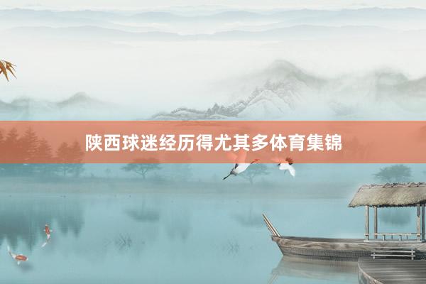 陕西球迷经历得尤其多体育集锦