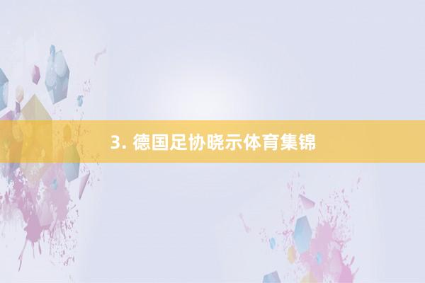 3. 德国足协晓示体育集锦