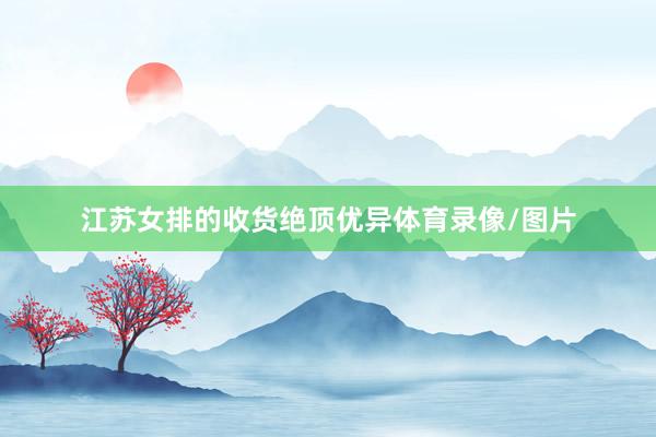 江苏女排的收货绝顶优异体育录像/图片