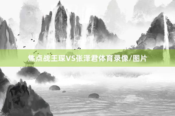 焦点战王琛VS张泽君体育录像/图片