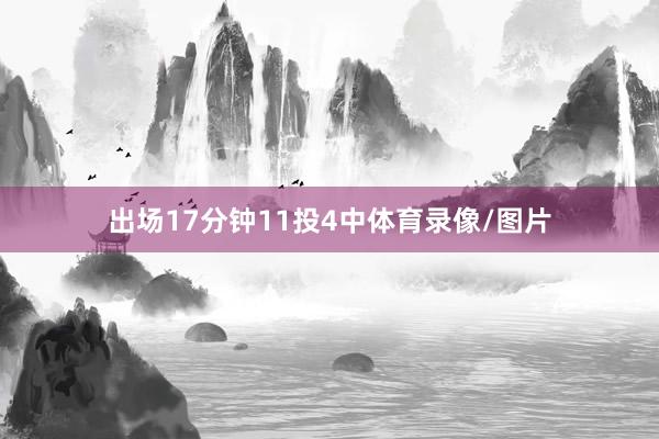 出场17分钟11投4中体育录像/图片