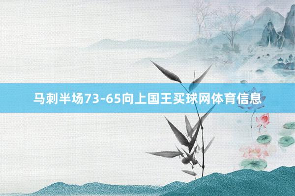 马刺半场73-65向上国王买球网体育信息
