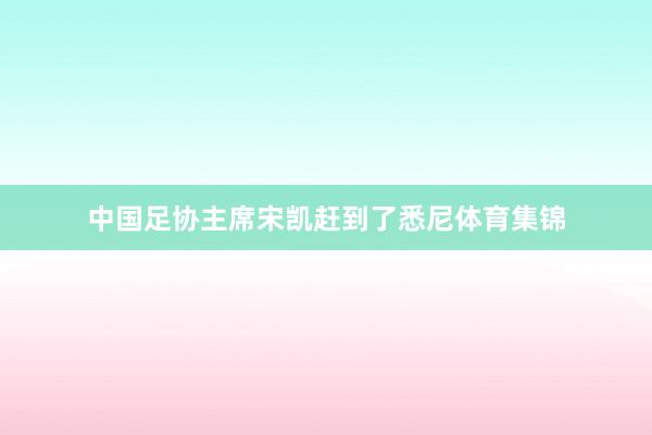 中国足协主席宋凯赶到了悉尼体育集锦